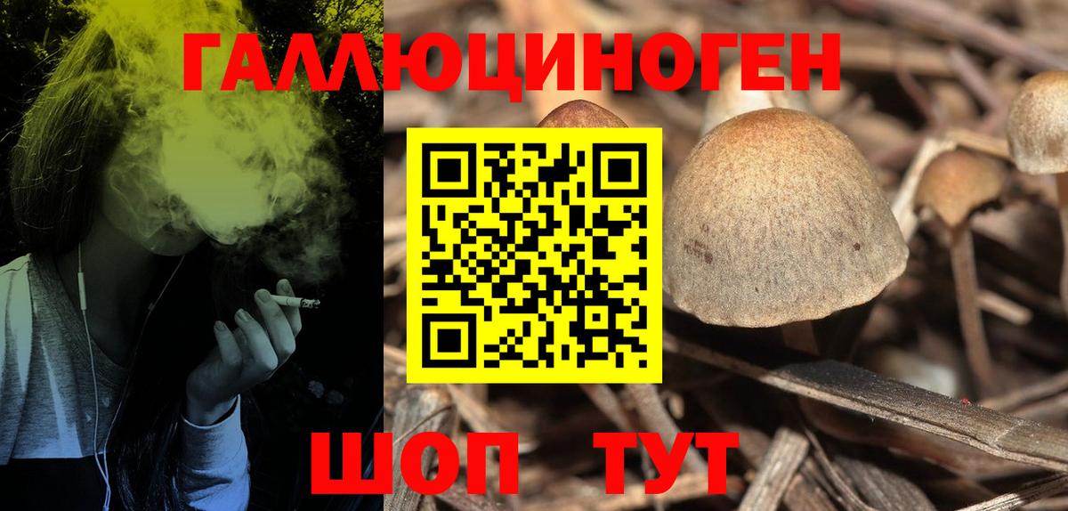 ГАШИШ  Меф  Вход с VPN  Канабис  МЕФ   Новозыбков  Канабис 